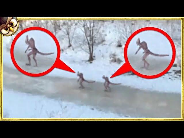 30 CREEPY Unknown Creatures Caught on Tape