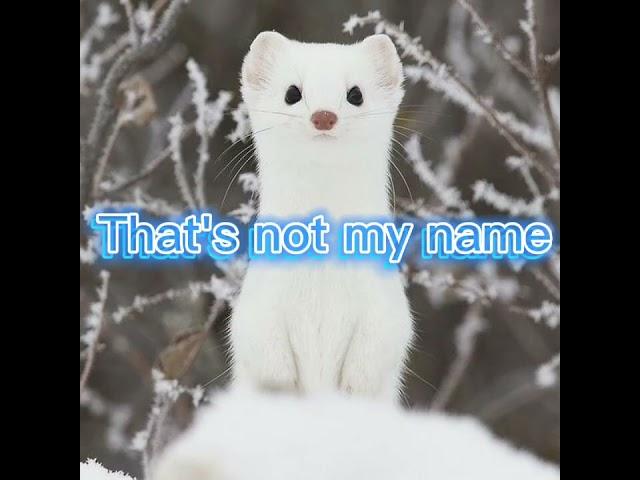 MY NAME is ERMINE