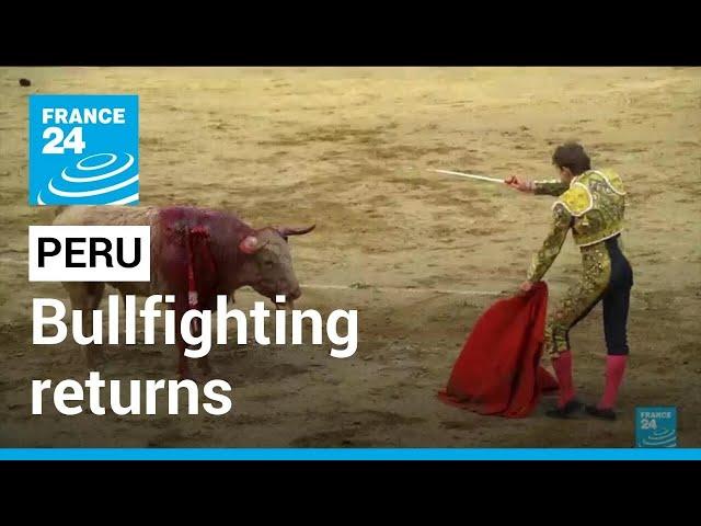 Bullfighting returns to historic Peru arena • FRANCE 24 English