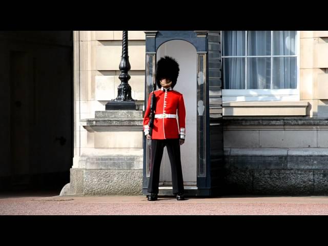 Guard at Buckingham Palace