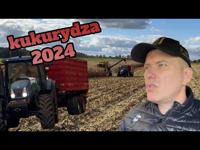 Kukurydza 2024