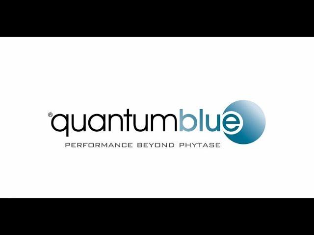 AB Vista Quantum Blue superdosing The Future HD