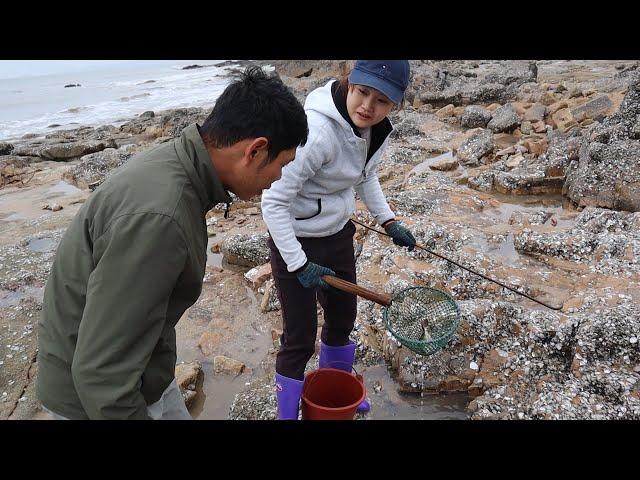 猪猪赶海遇上大猛货，蜷缩在石底好大一只，浑身花纹差点不敢下手