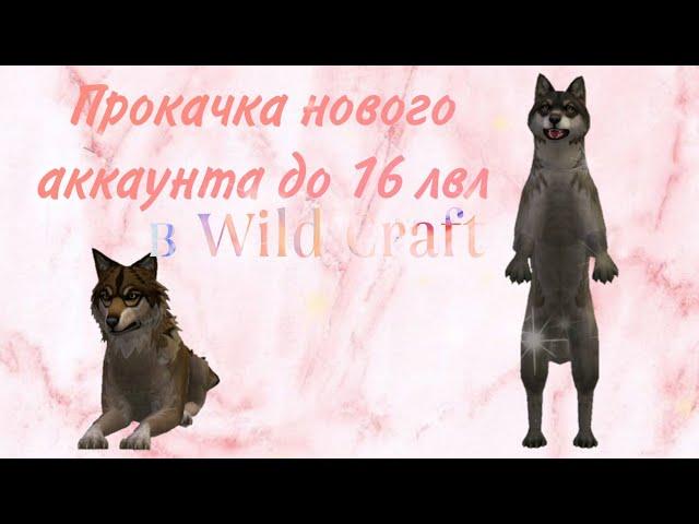 ВЫРАСТИЛ ВОЛЧОНКА и СХОДИЛ на ЛОСЯ || ПРОКАЧКА НОВОГО АККАУНТА до 200 || #2