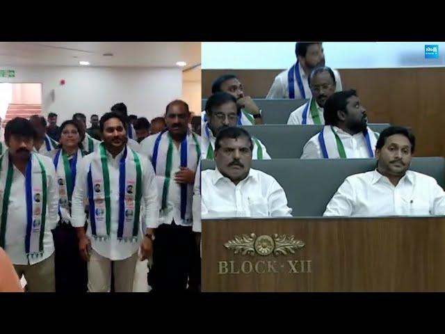 YS Jagan Visuals |  AP Assembly Budget Session 2025 | @SakshiTVLIVE