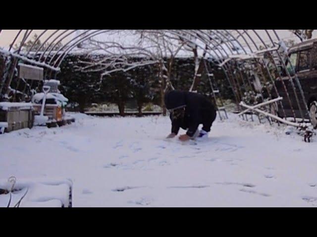 鹿児島県で雪⁉️遊ぶーwww