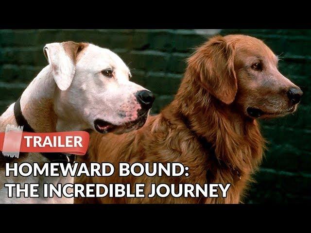 Homeward Bound: The Incredible Journey (1993) Trailer HD | Michael J. Fox | Sally Field