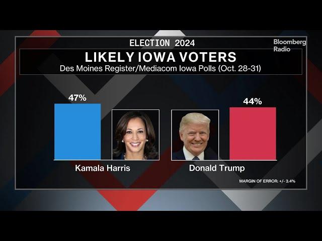 Trump vs Harris: What the Latest Polls Say Ahead of Voting