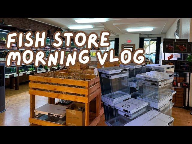 Opening my Fish Store | Morning Vlog