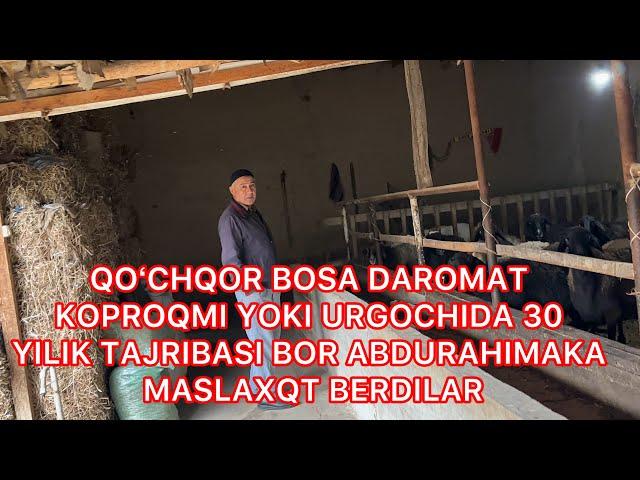 QOʻCHQOR BOQSA DAROMAT KOPMI YOKI URGICHIDAMI 941544307 ABDURQXIMAKADAN MASLAXATLAR