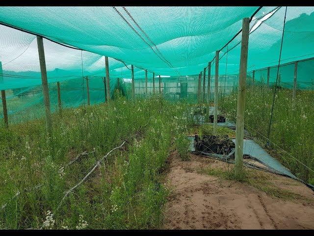 Gardening with Gabriel - Starting Fresh & Dreaming Big - New Nursery Location - Episode 1