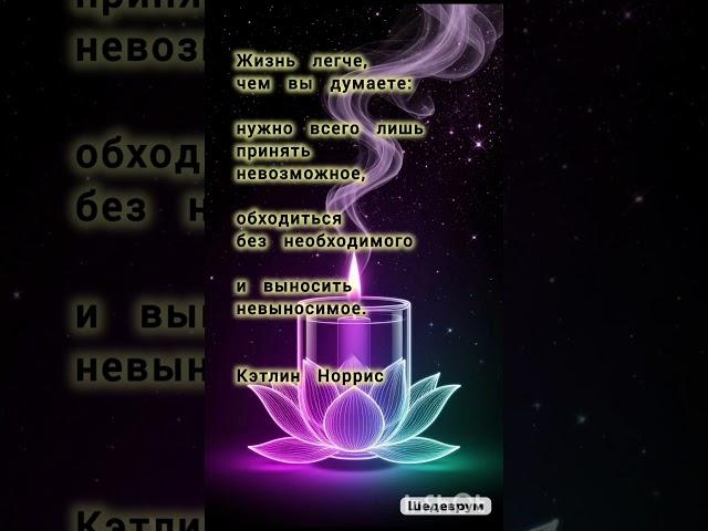 #осознанность #мудрость #философия #психология #смыслжизни #цитаты #мотивация #доброеутро