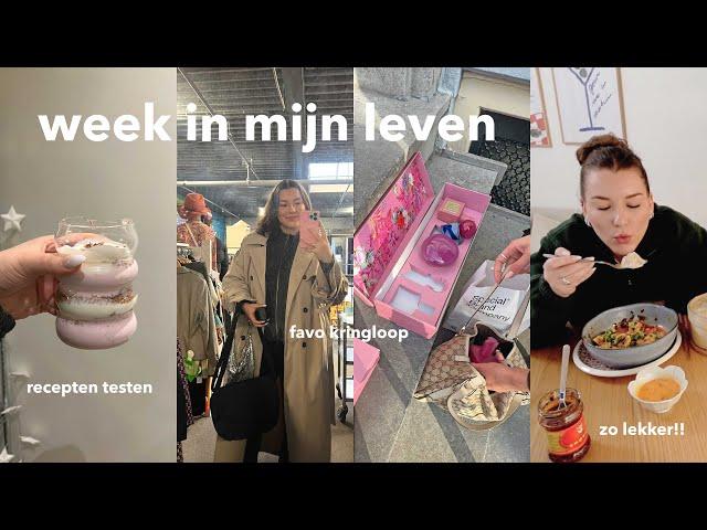 bij mijn favoriete kringloop shoppen, tiktok recept testen & puzzelen  weekvlog