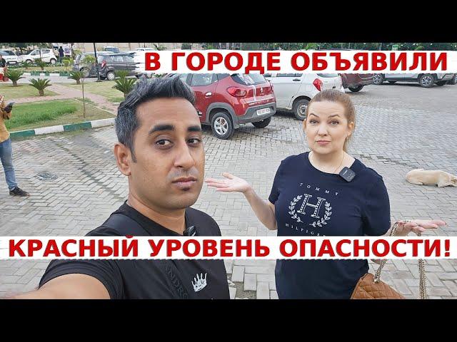 В городе объявили красный уровень угрозы! Как мы тут живем? Аамир приготовил ужин!