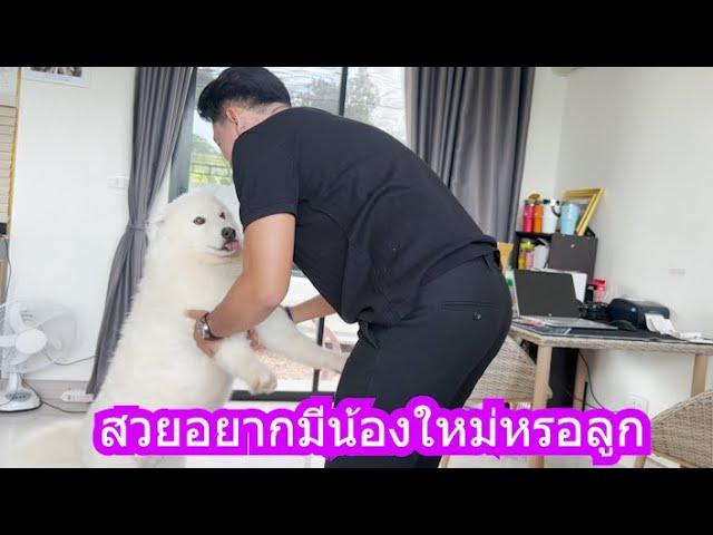 อะไรนะสวยอยากได้น้องใหม่! | ข้าวเหนียว ขี้กระโปกหมา