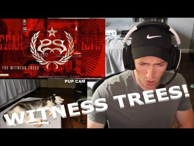 Chris REACTS to Stone Sour - Witness Trees