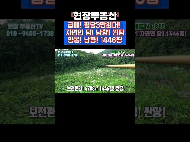 자연인 땅 평당3만원대 양봉 농사 짓기 #sorts #현장부동산 #싼땅 #가대리 #자연인