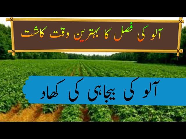 Potato farming|potato cultivation|potato sowing time /fertilizer