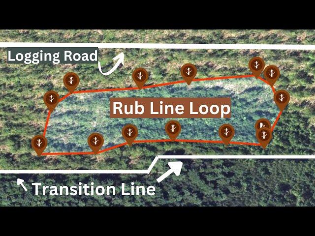 Breaking Down Pressured Clear Cut