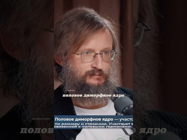 Станислав Дробышевский. Мозг. Интеллект. Алипов.  #наука #science #shorts