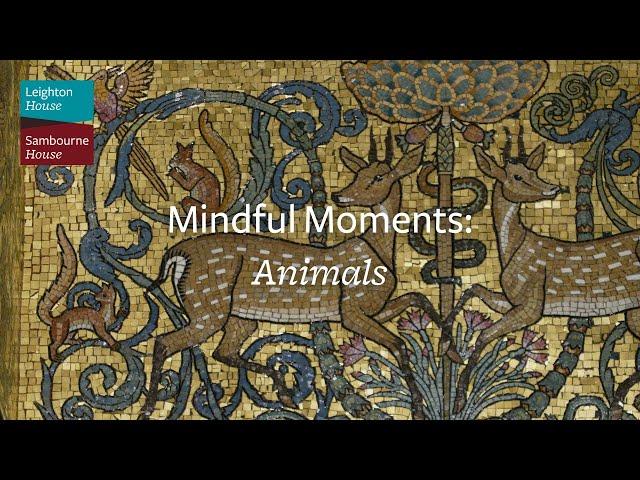 Mindful Moments: Animals | Leighton House and Sambourne House