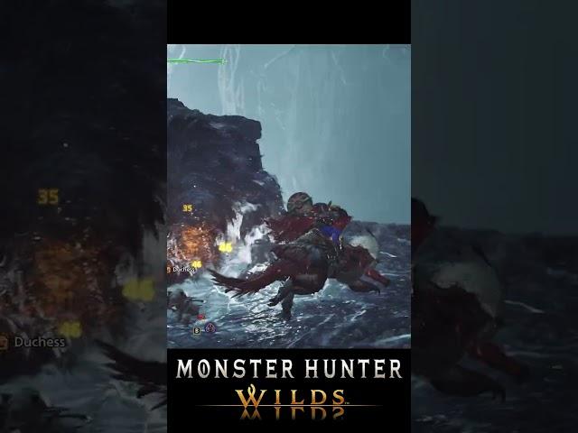32 HITS in 10 SECONDS: Sword & Shield FRENZY! (MH Wilds)
