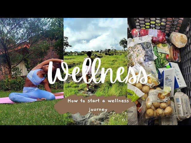 How To Start A Wellness Journey| Tips for Young Professionals| Part 1