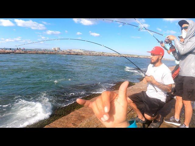 Jetty Fishing! Mullet run Fun at Packery/ Corpus Christi TX