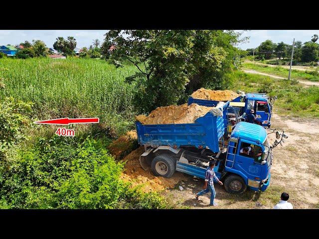 Bulldozer D20 ultimate skill pushing soil filling 40m square land with dump trucks