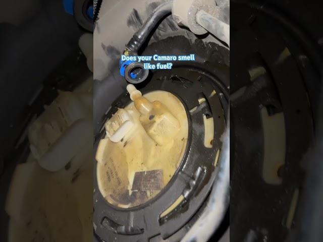 Does your Chevy smell like fuel this is why #chevy #mechanic #camaro #camaross  #howtoautorepair