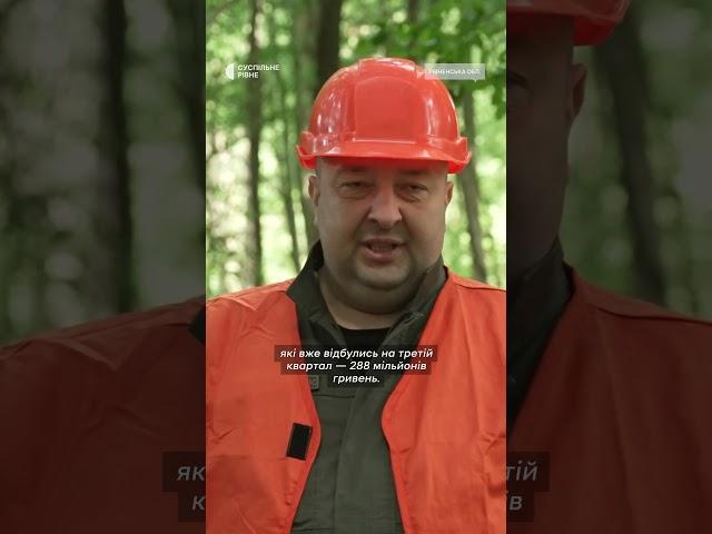Понад 700 гектарів лісу пошкодив буревій на Рівненщині #shorts