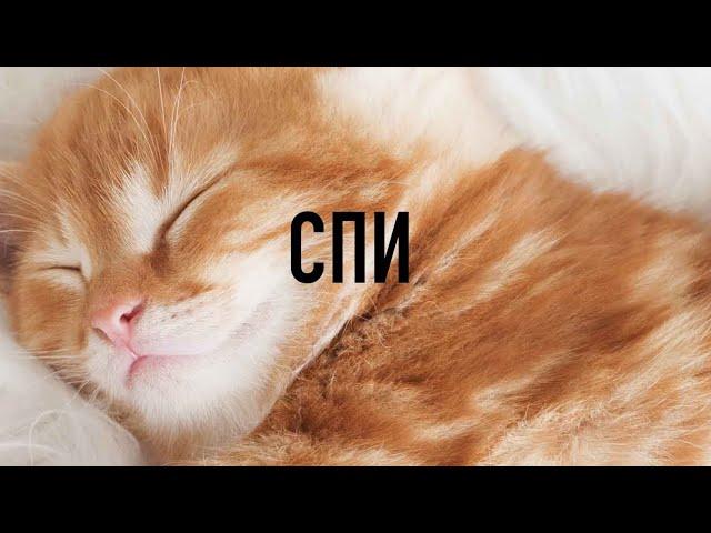 Погружение в Мудрость Священных Писаний: СПИ С БИБЛИЕЙ