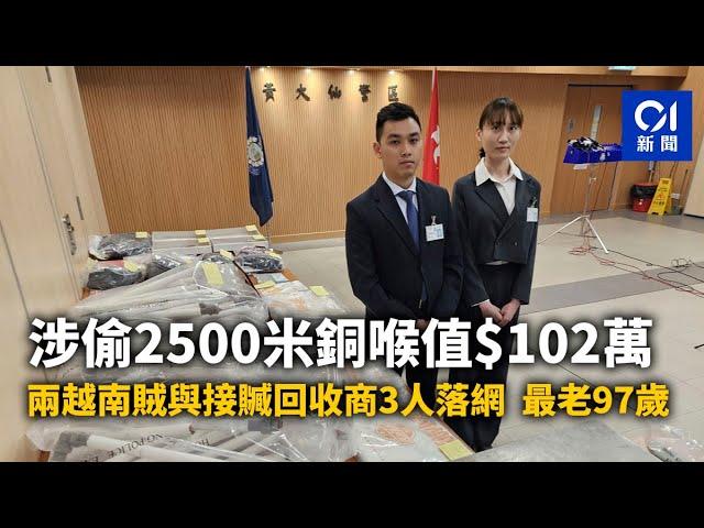 涉偷2500米銅喉值$102萬 兩越南賊與接贓回收商3人落網最老97歲｜01新聞｜銅喉｜越南｜盜竊｜處理贓物｜黃大仙