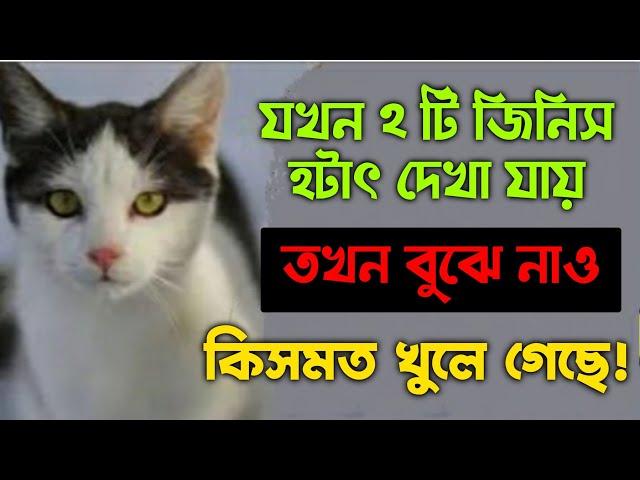 ২ টি জিনিস দেখে বুঝবেন আপনার ভাগ্য খুলে গেছে | zubayer bin emam | jobayer ben imam | Islamic video