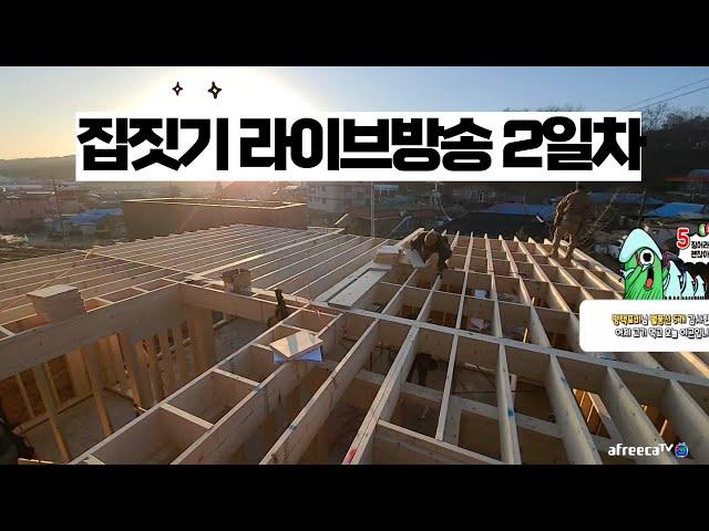 Day 2 of the House Building Construction Site Live