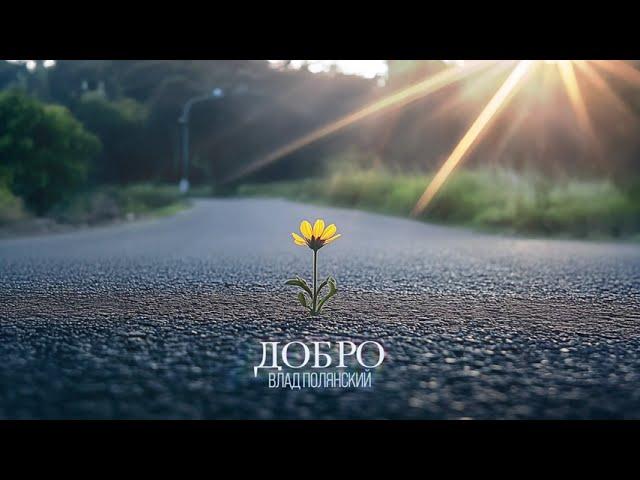 Влад Полянский – Добро (премьера альбома, 2025)