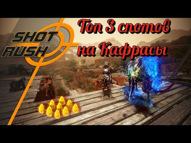 Black Desert / BD: Топ по 3-и спота на Кафрасы (После Сезонки и Энд-гейм)