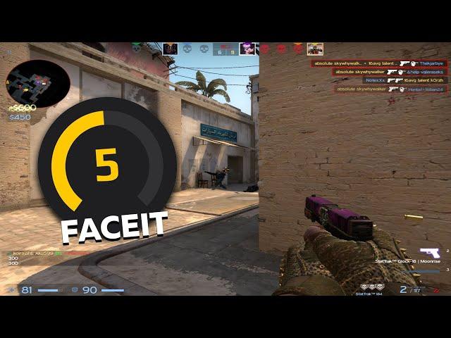 how 5 lvl faceit really plays cs:go