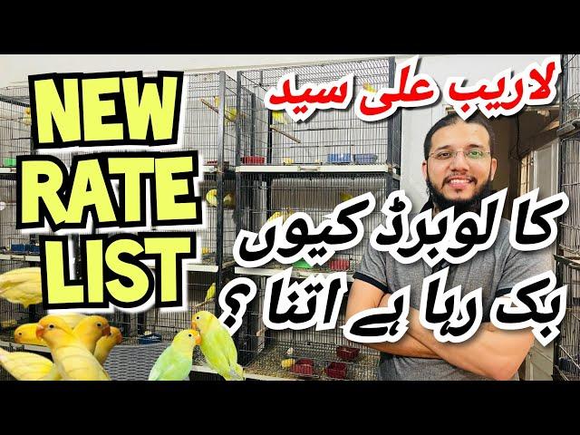 New Rate List | Laraib ali syed ka lovebirds q itna bikta h ? season start ho rha h 2025