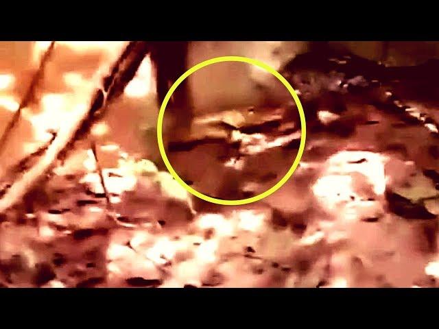 Mysterious Creature Attacks Man Near The River Caught On Tape In China