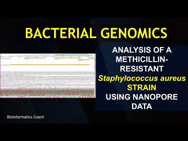 Whole Genome Sequence Analysis | Bacterial Genome Analysis | Staphylococcus Aureus