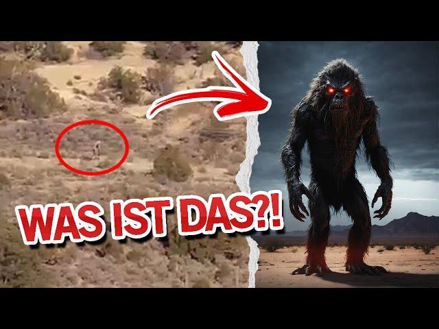 Seltsames Wesen in Wüste entdeckt! Der Yucca Man | MythenAkte