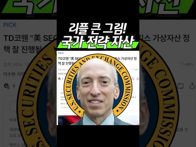 리플 큰 그림! “국가 전략 자산”