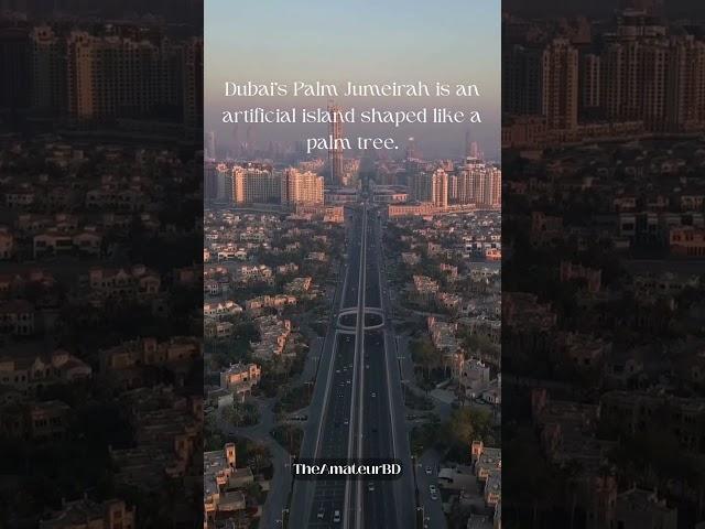 Dubai's Palm Jumeirah  #shorts #shortvideo