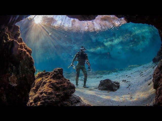 Found Crystal Clear Swimming Spot in Florida! (Beware Alligators) | DALLMYD