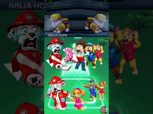 PAW Patrol:  - Zuma - Skye   Marshall - Ryder  Chase - Rocky Tiles Hop EDM Rush  #600