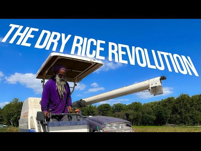 The Unlikely Success of Farming Rice in Maryland | MDF&H