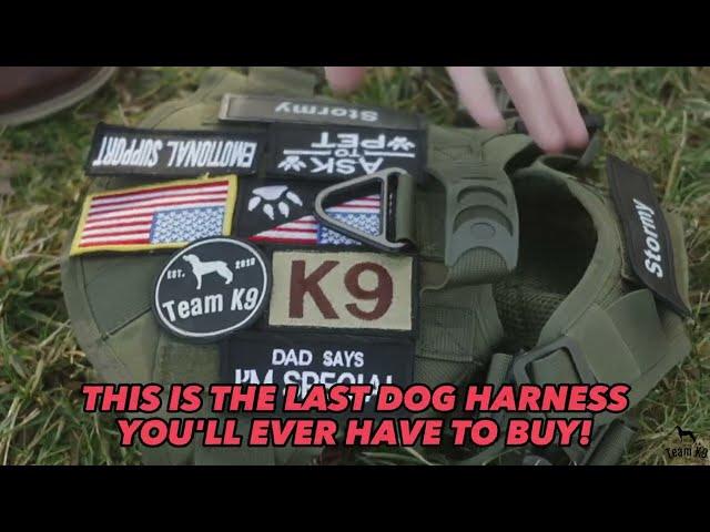 Team K9 Metal-Buckle No-Pull Dog Harness