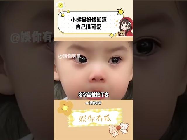 怎么会有小熊猫这么可爱的小动物！#小熊猫 #小熊猫不是小浣熊 #动物 #可爱