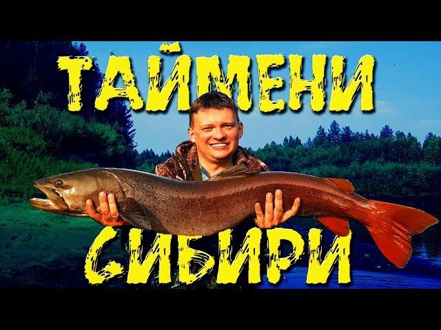 ТАЙМЕНИ СИБИРИ